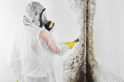 Black Mold Removal in Weatherford, TX