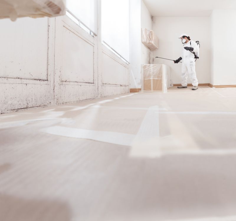 Crawl Space Mold Removal in West Palm Beach, FL
