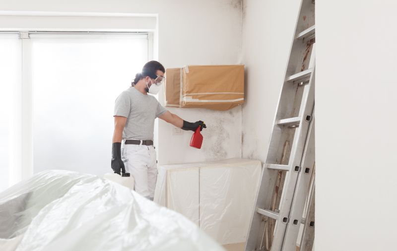 Air Duct Mold Removal in Fort Lauderdale, FL