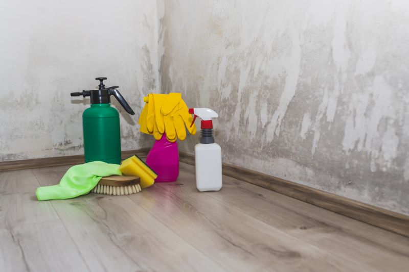 Basement Mold Removal in Dallas, TX