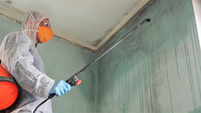 Ceiling Mold Removal in Bergen County, NJ
