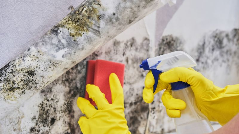 Crawl Space Mold Removal in Fort Worth, TX