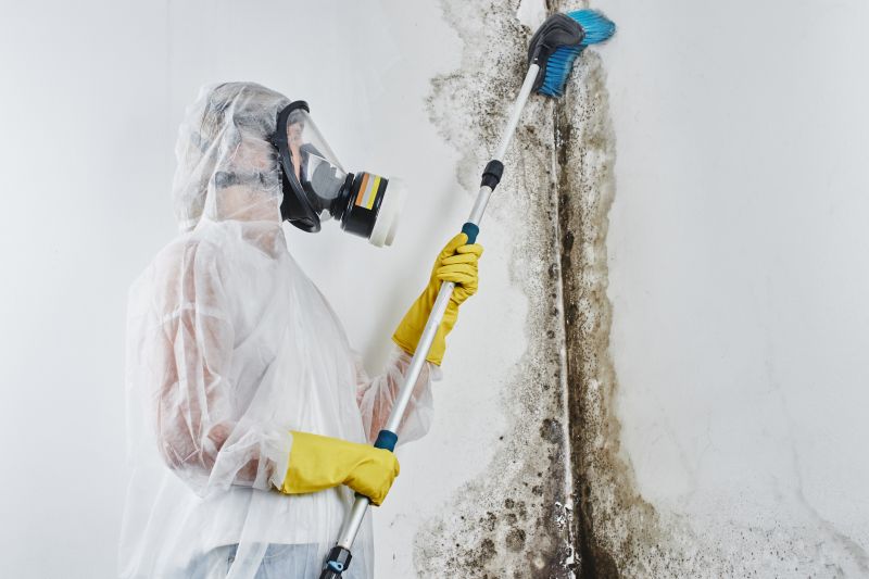 Mold Abatement Service in West Palm Beach, FL