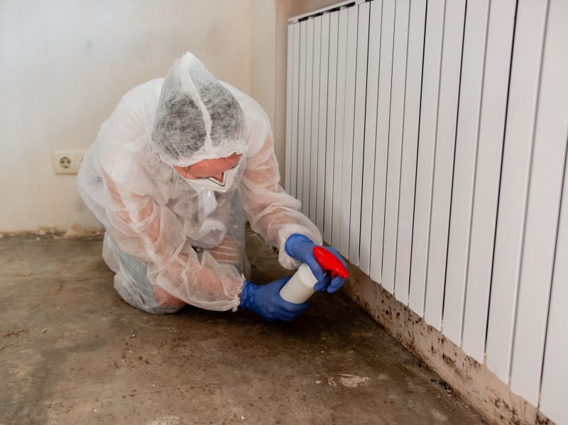 Mold Abatement Service in Jupiter, FL