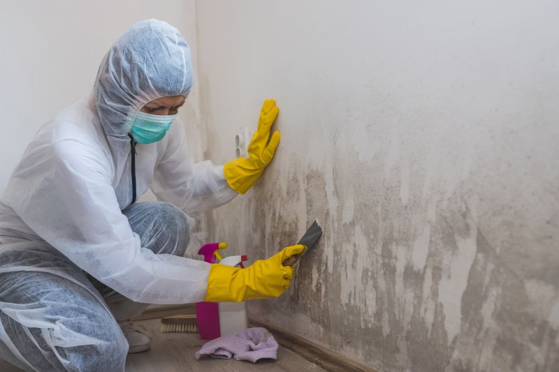 Mold Cleanup Service in Bergen County, NJ