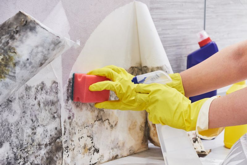 Mold Remediation Service in West Palm Beach, FL